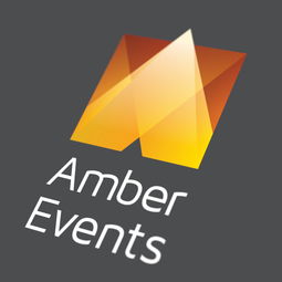 amber品牌项目管理公司抽象vi形象设计
